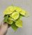 Philodendron Lime 12 cm