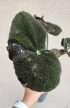 Begonia masoniana River 13 cm