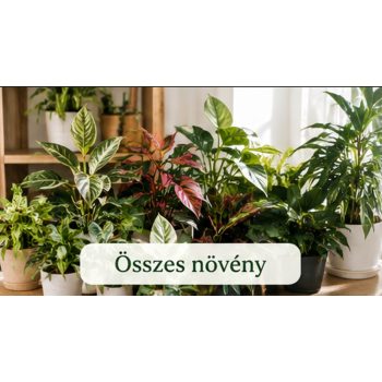 Összes növény